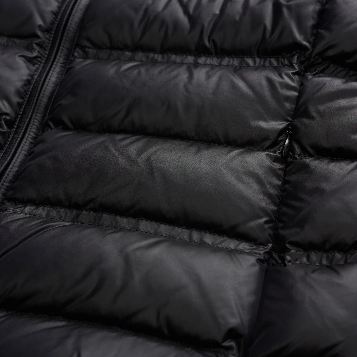 Blauer USA Short Quilted Down Jacket Georgia Donna